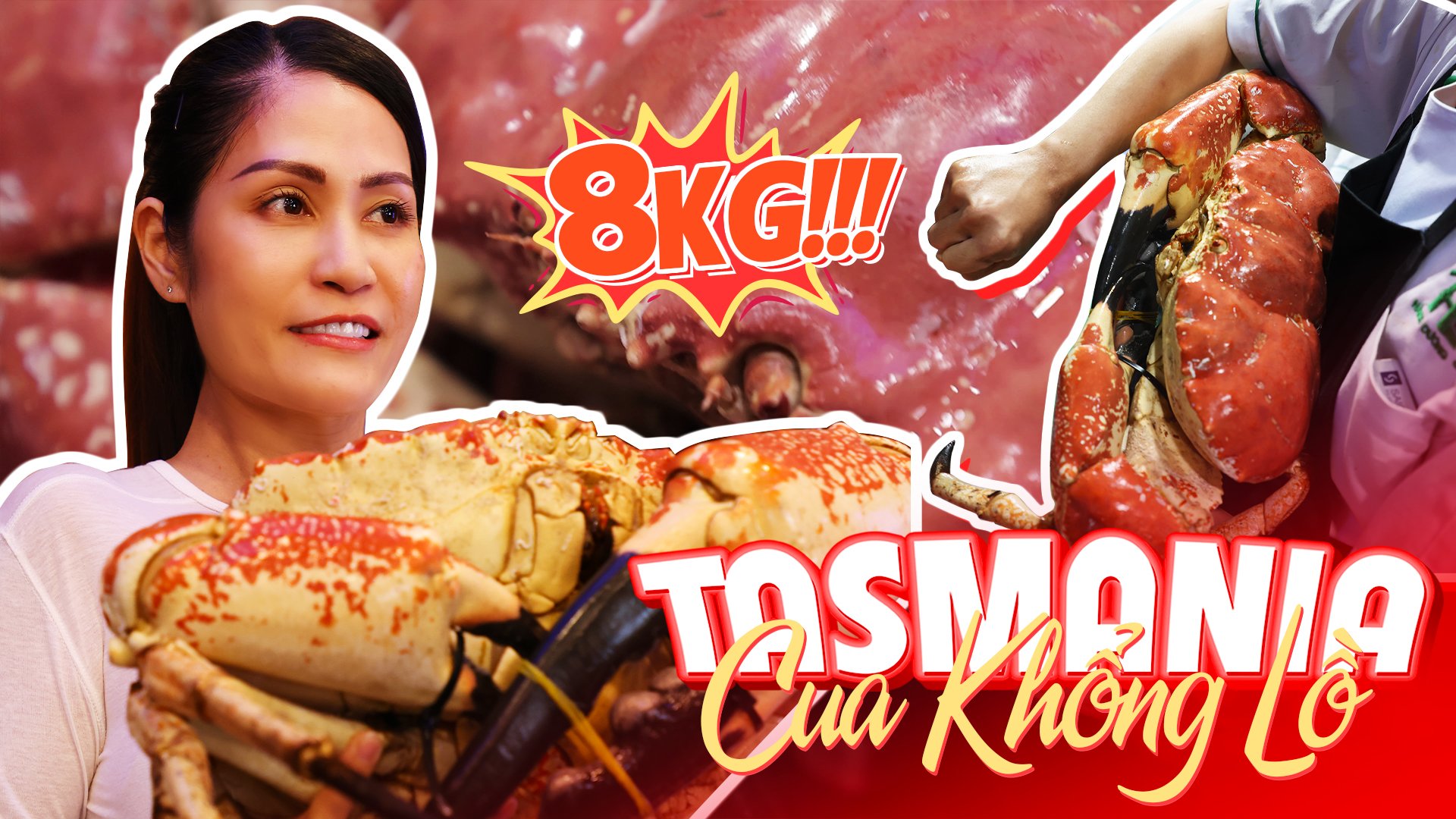 Cua khổng lồ Tasmania (Tasmania King Crab)