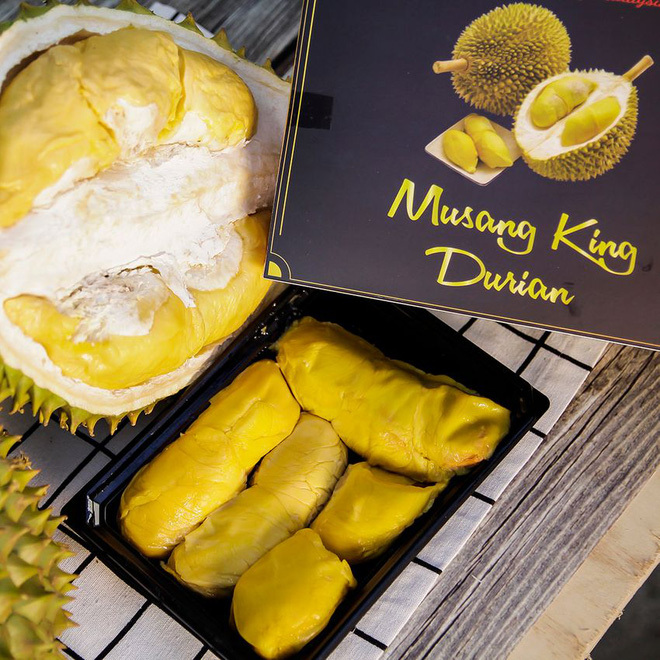 Sầu Riêng Ngon Nhất Thế Giới “Musang King Chính Hiệu” - - Hàng Dương Quán